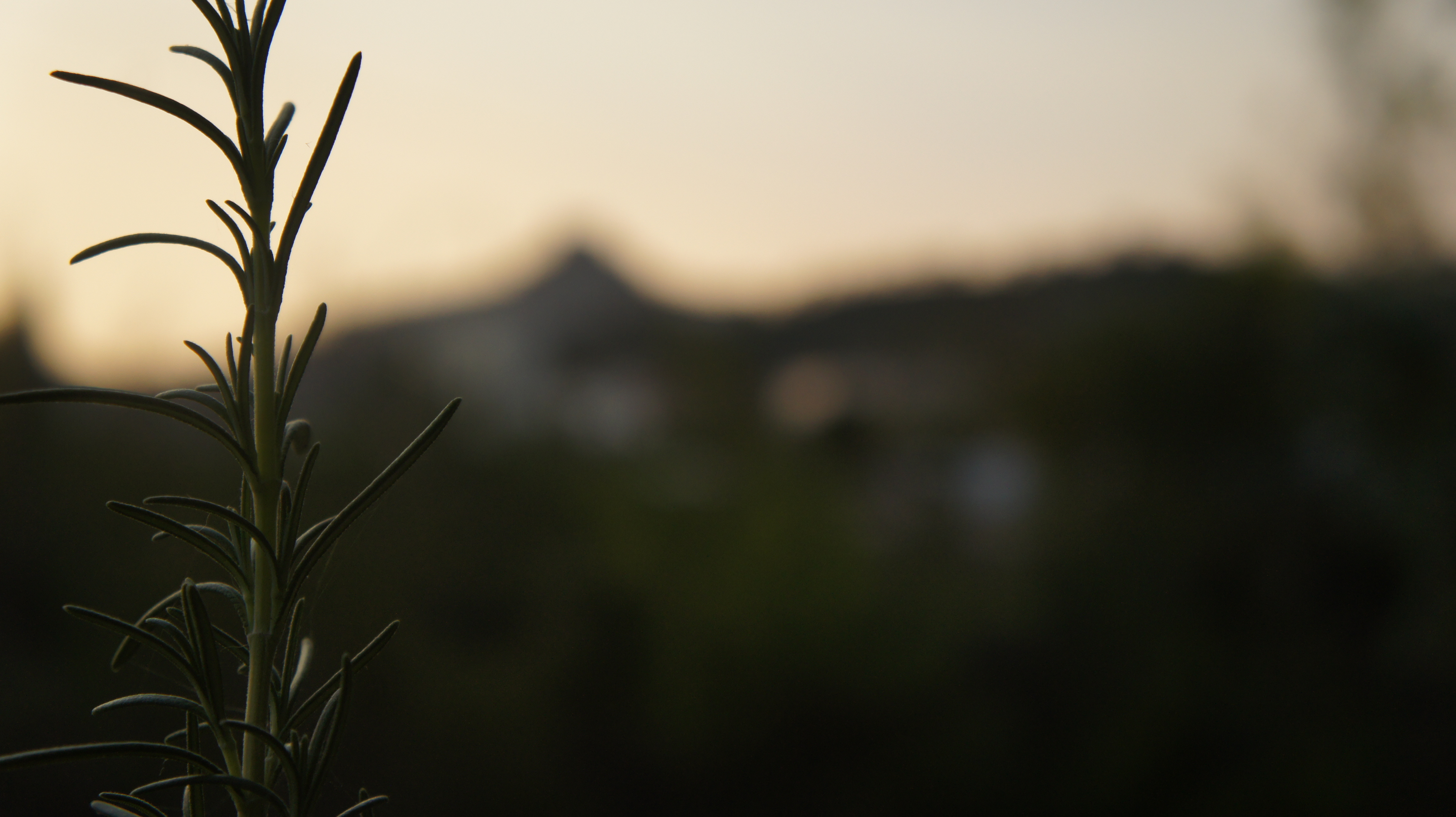 Morella al atardecer — El Sosiego